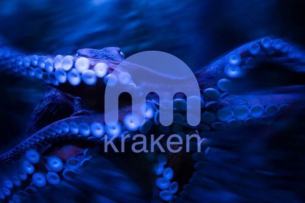 Kraken com зеркало