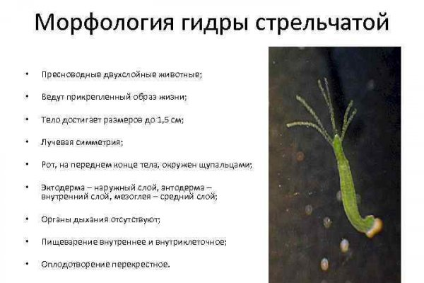 Рабочая ссылка кракен маркетплейс