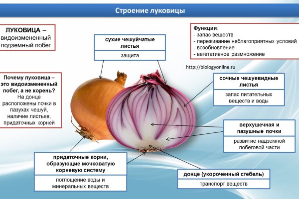 Как зайти в кракен с айфона